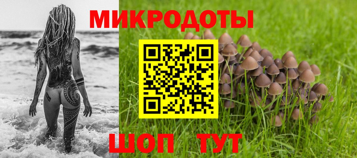 Псилоцибиновые грибы Psilocybine cubensis  Галлюциногенные грибы GOLDEN TEACHER  Вход с VPN  Саянск 